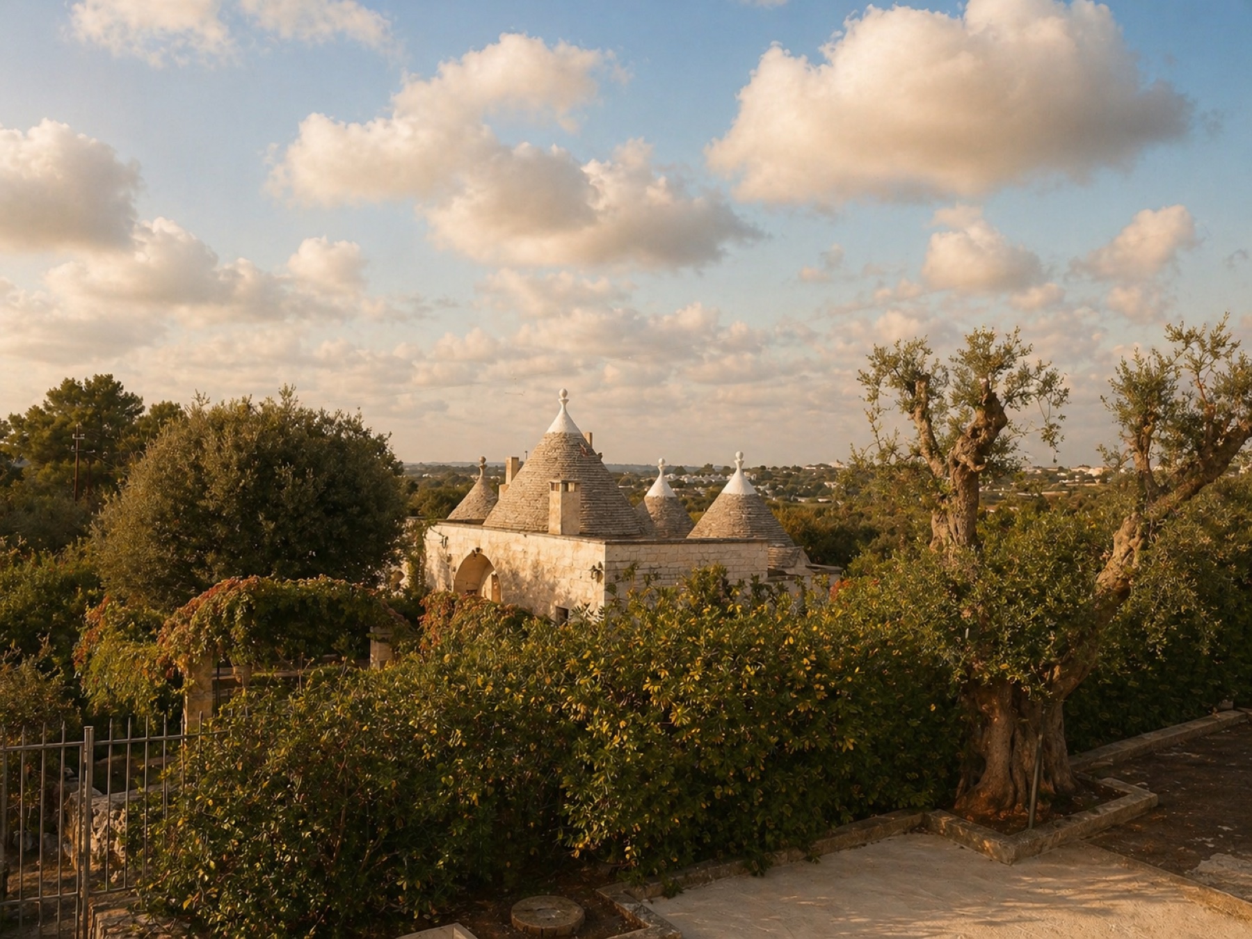 Historic trulli among centuries-old olive trees