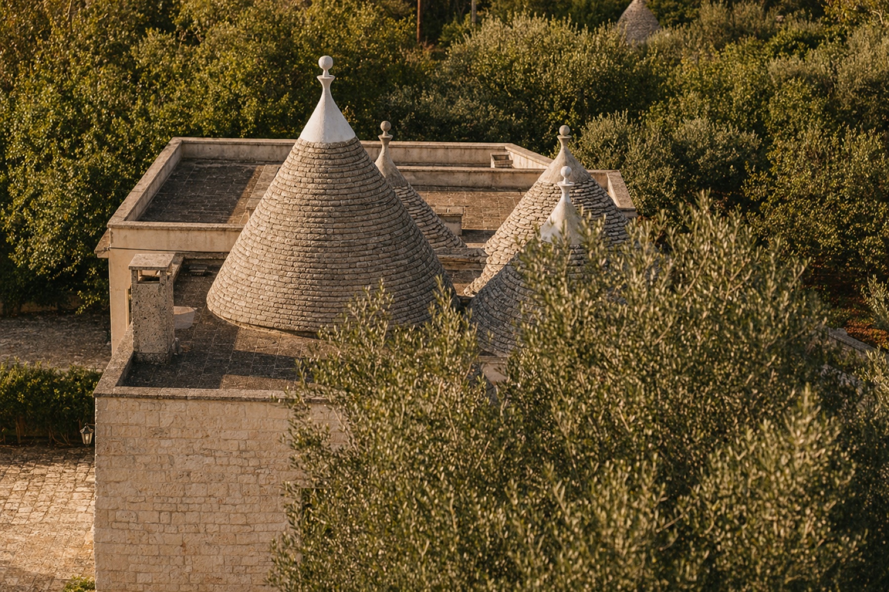 Trullo in pietra circondato da ulivi